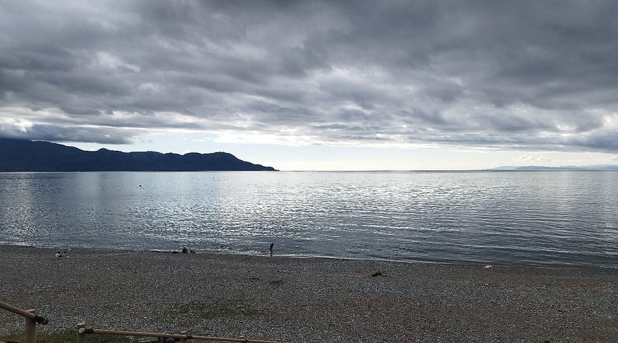 🏞️ 센본하마 공원 이미지 4